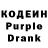 Кодеиновый сироп Lean Purple Drank ZemFire